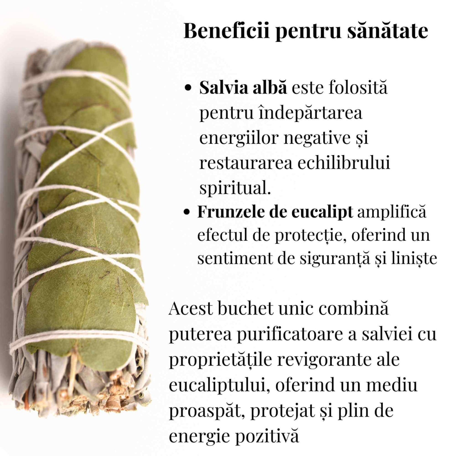 Buchet Salvie Alba California cu Frunze de Eucalipt