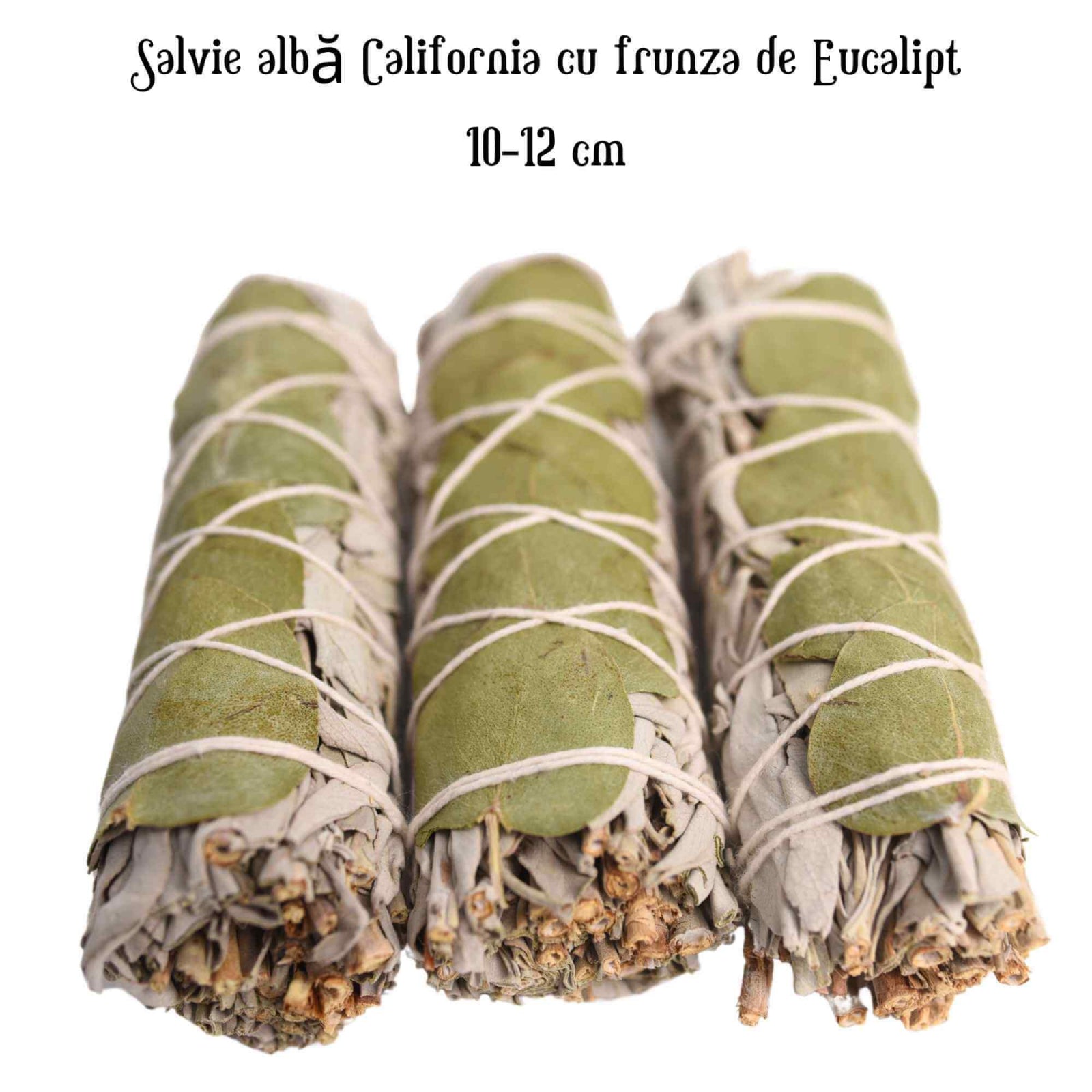 Buchet Salvie Alba California cu Frunze de Eucalipt