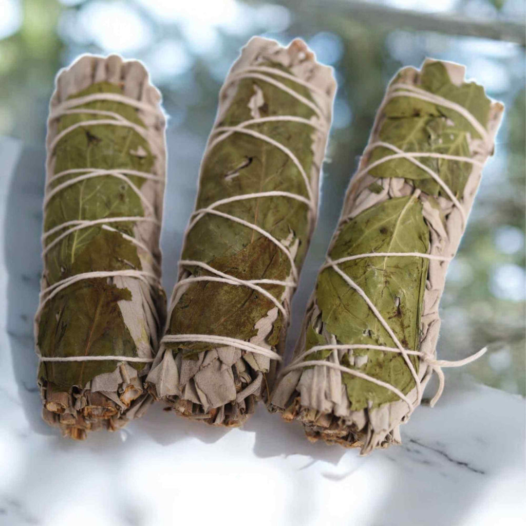 Buchet Salvie Alba California cu Busuioc