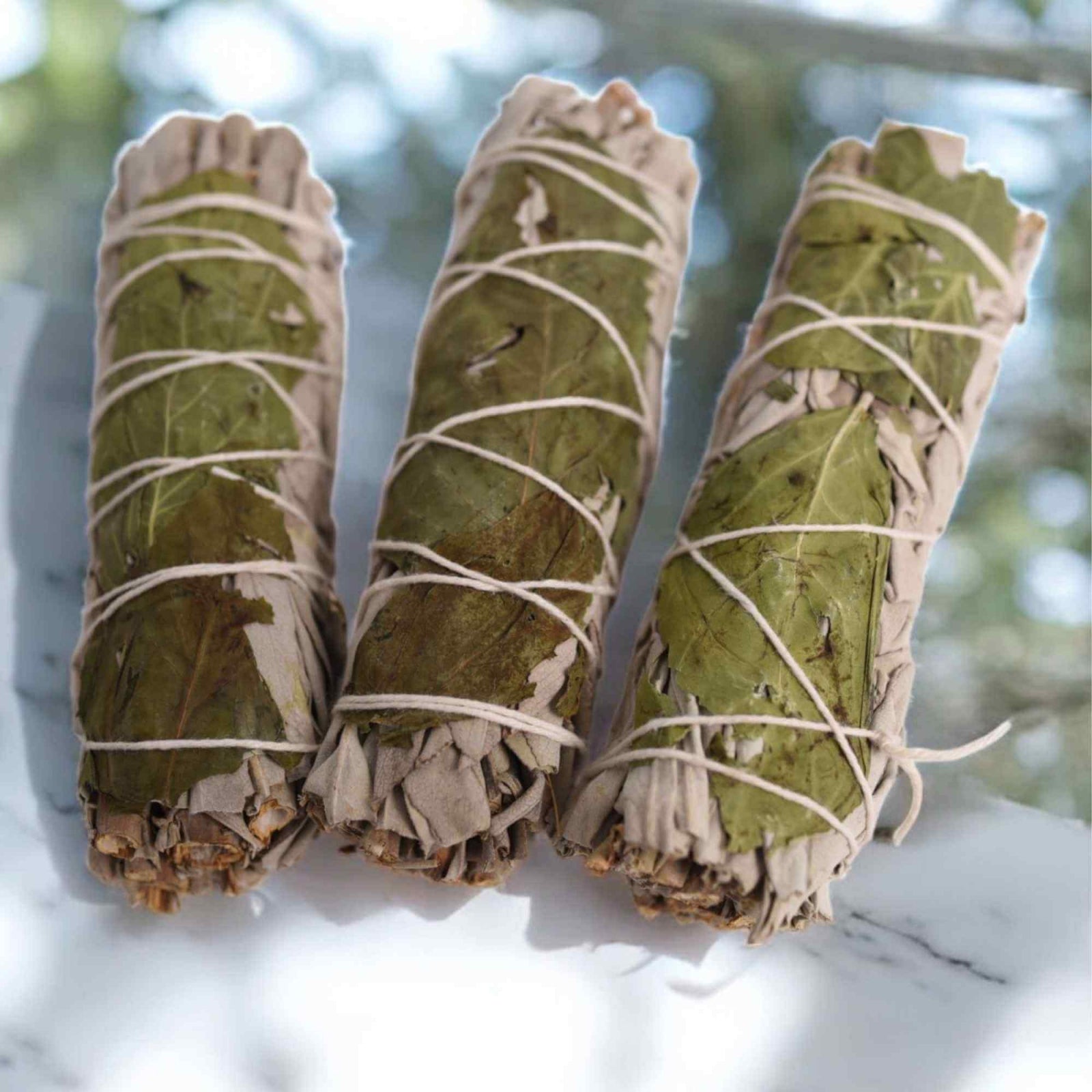 Buchet Salvie Alba California cu Busuioc