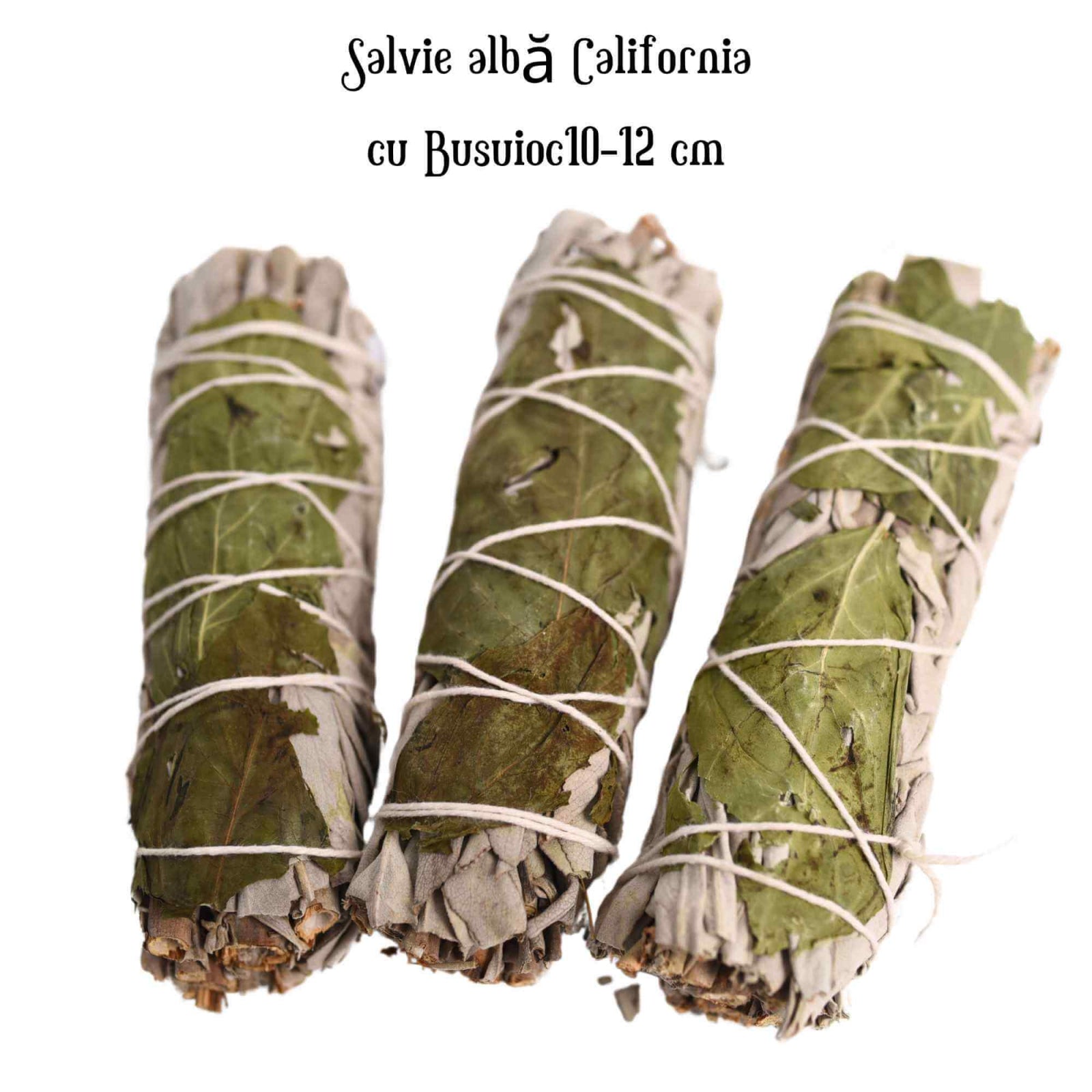Buchet Salvie Alba California cu Busuioc