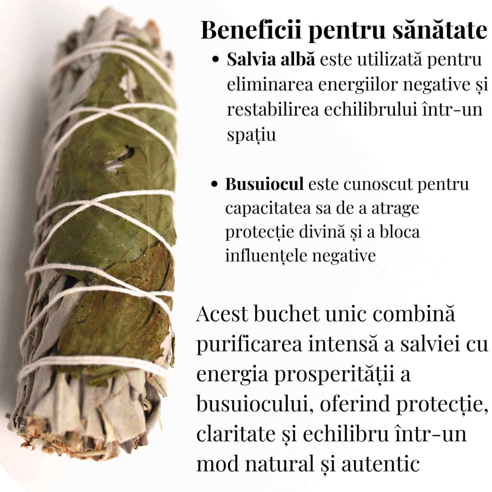 Buchet Salvie Alba California cu Busuioc