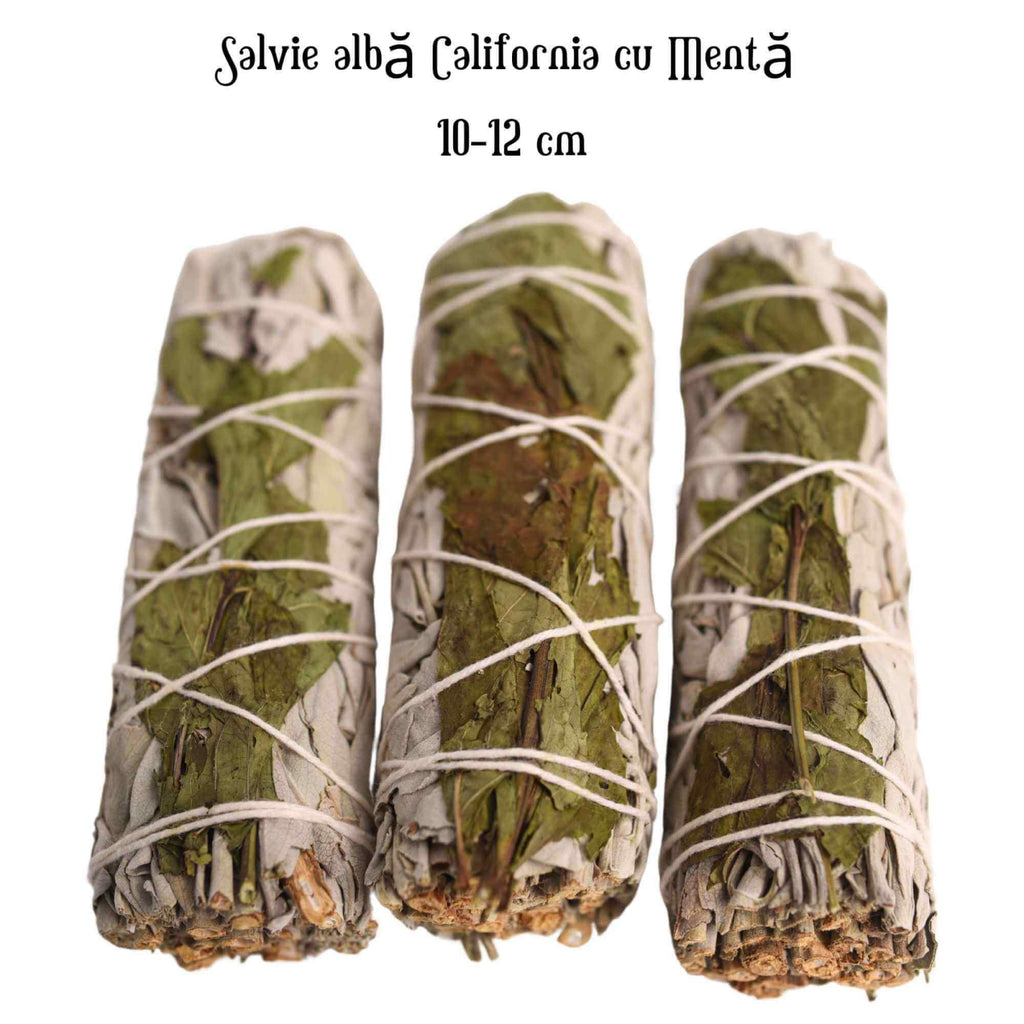 Buchet Salvie Alba California cu Menta