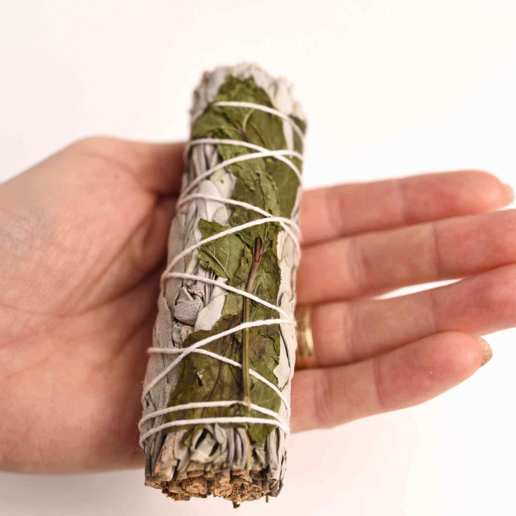 Buchet Salvie Alba California cu Menta