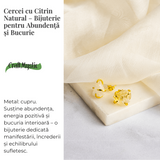 Cercei pentru Abundenta si Bucurie – Citrin Natural