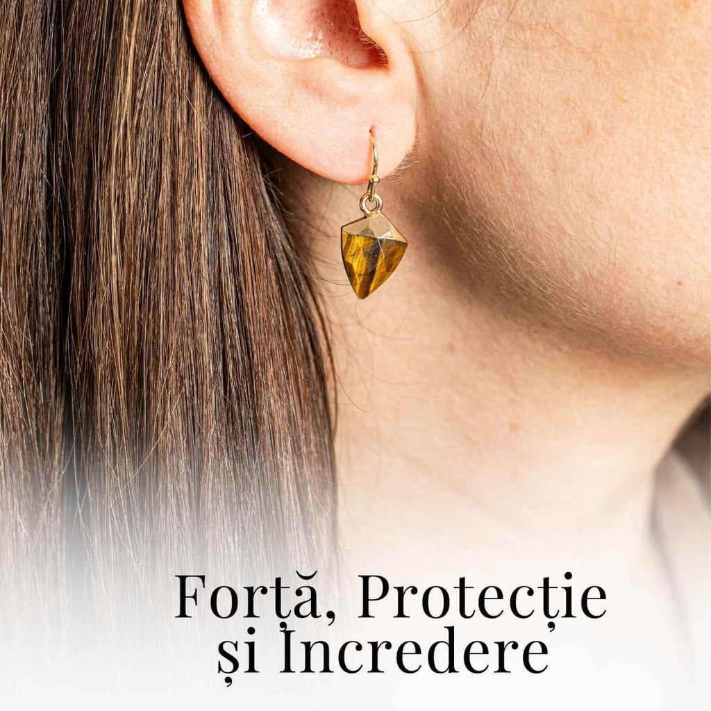Cercei Eleganti cu Ochi de Tigru Natural Fatetat