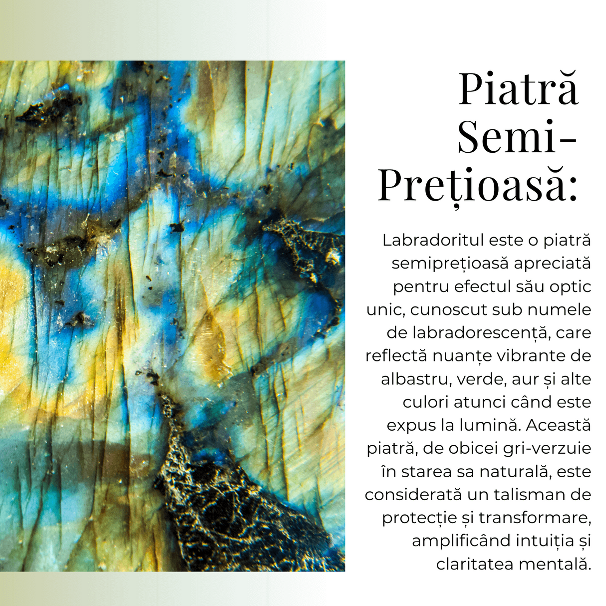Colier Auriu Ajustabil cu Pandantiv Inima Labradorit Natural