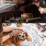 Set 21 Sticlute cu Mini Cristale si Pietre Naturale pentru Ritualuri Magice si Meditatie