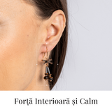 Forta Interioara si Calm – Cercei cu Hematit si Ochi de Tigru
