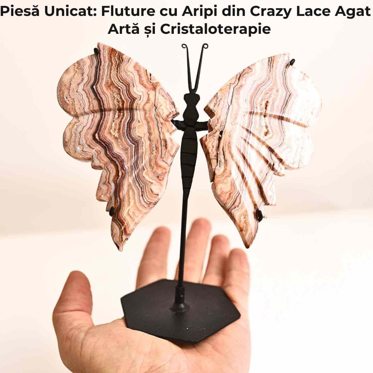 Fluture cu aripi din Crazy Lace Agat – Simbol al transformarii si frumusetii naturale