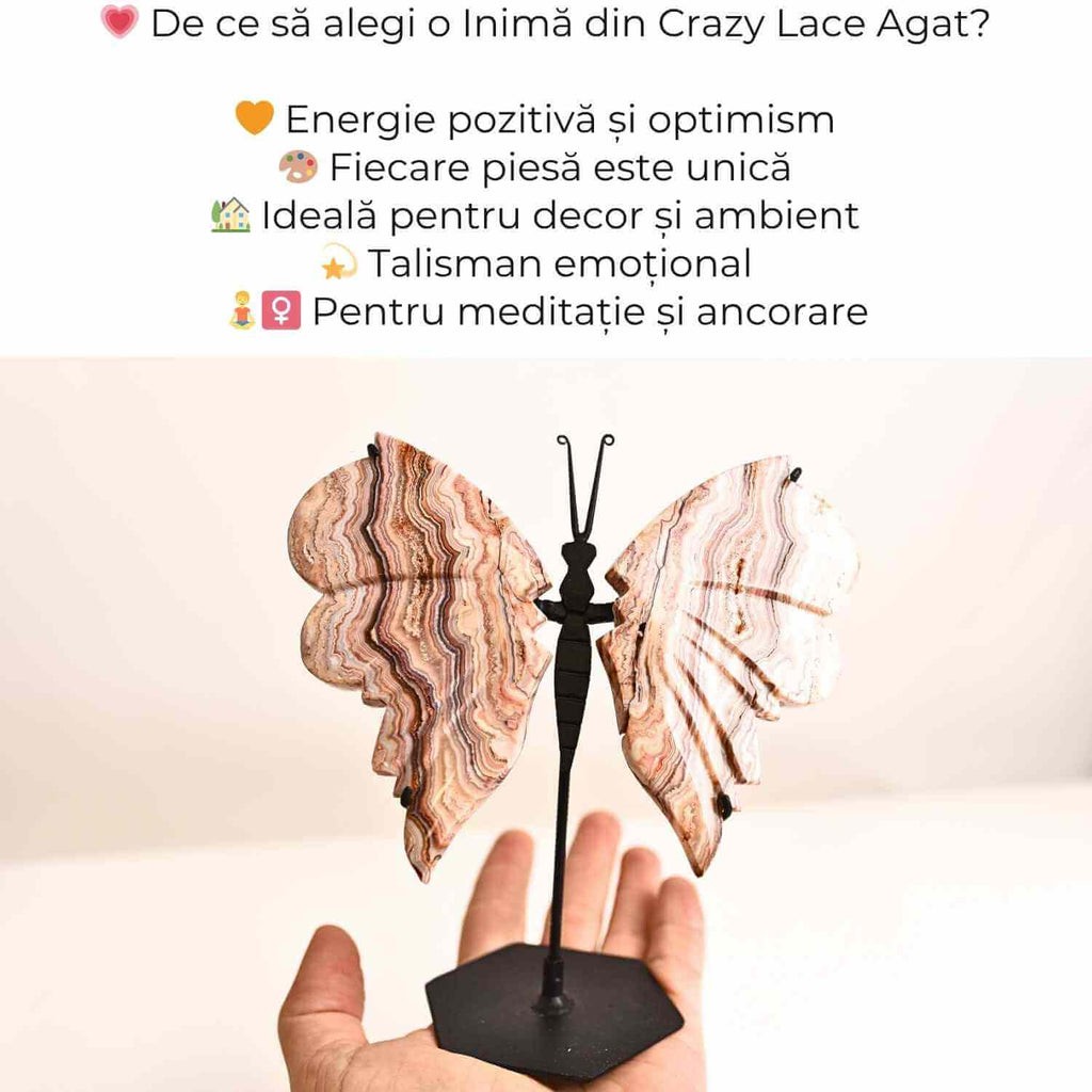 Fluture cu aripi din Crazy Lace Agat – Simbol al transformarii si frumusetii naturale
