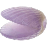 Figurina 4 cm din cristal natural in forma de scoica, ornamente pentru acvariu, marturie tip cadou de nunta, proiecte DIY