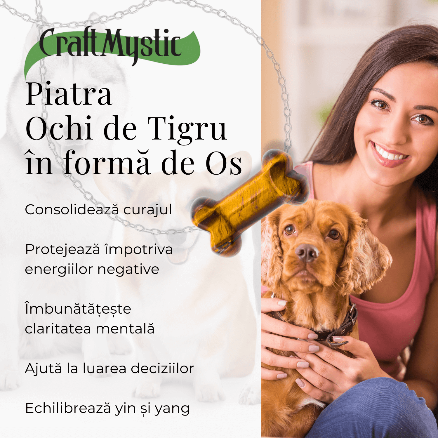 ZSC27-39-OT3