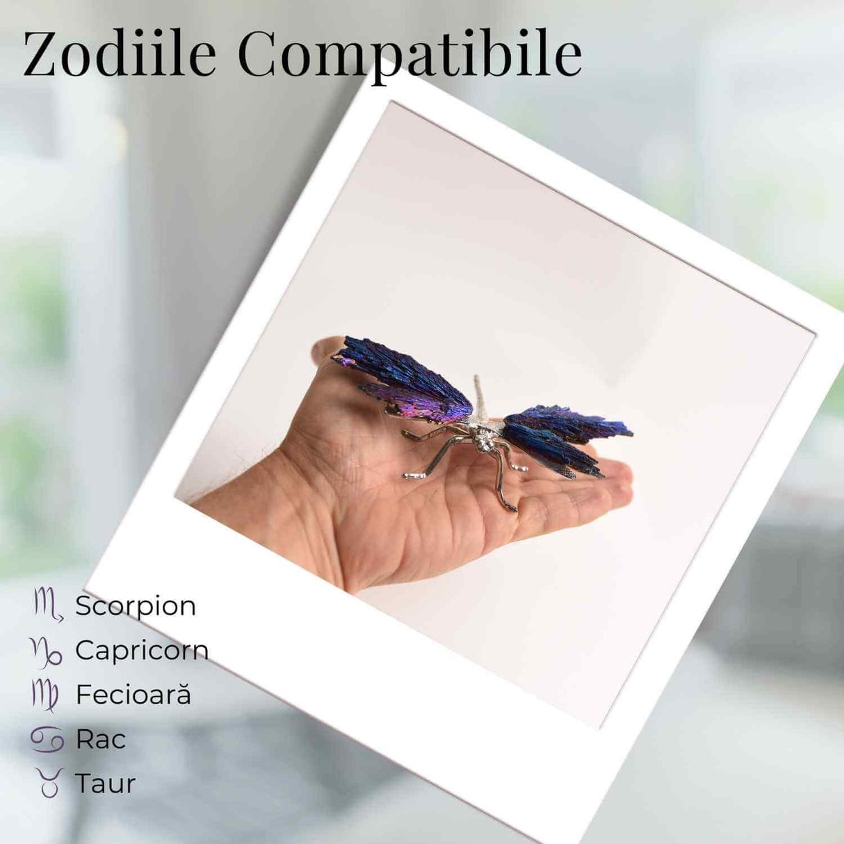 Amuleta Transformare - Libelula Turmalina Neagra Curcubeu