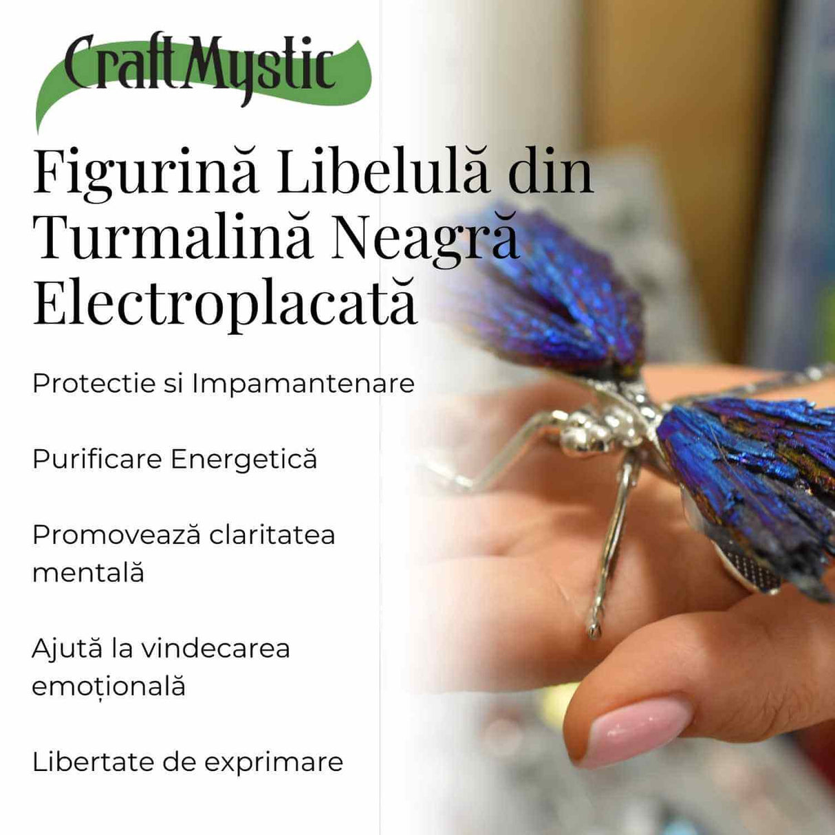 Amuleta Transformare - Libelula Turmalina Neagra Curcubeu