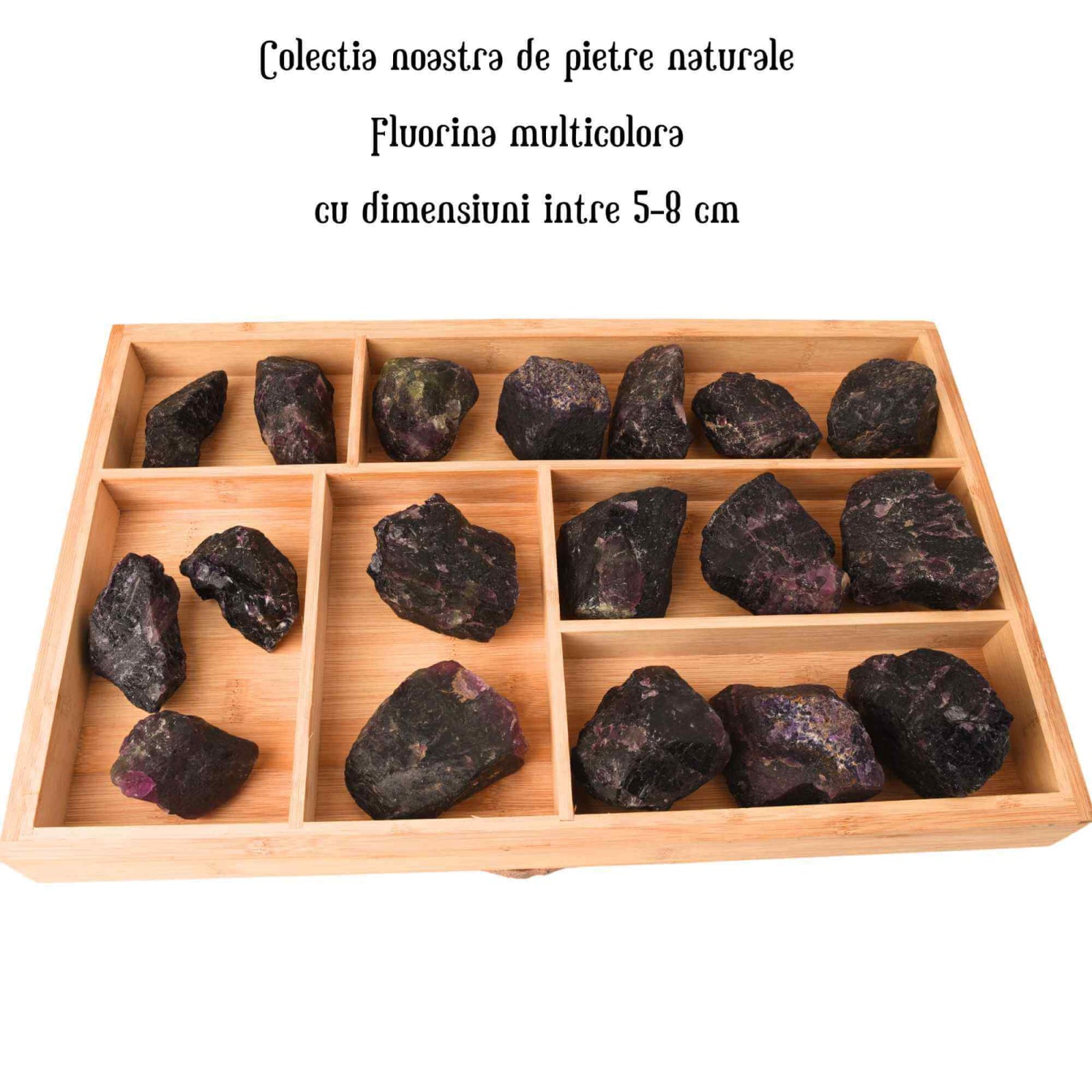 ZSC13-57-564