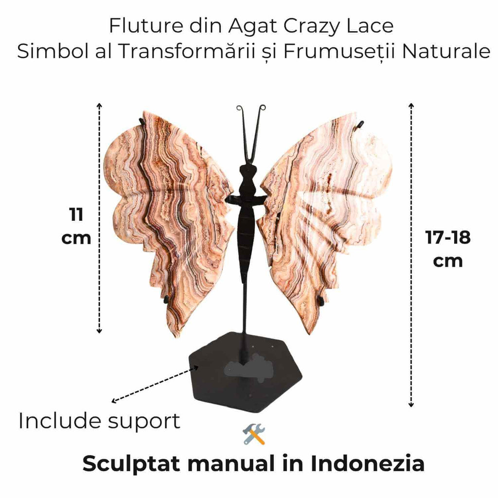 Fluture cu aripi din Crazy Lace Agat – Simbol al transformarii si frumusetii naturale