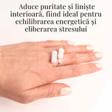 Inel Reglabil Argintiu cu Dublu Selenit, Claritate si Purificare
