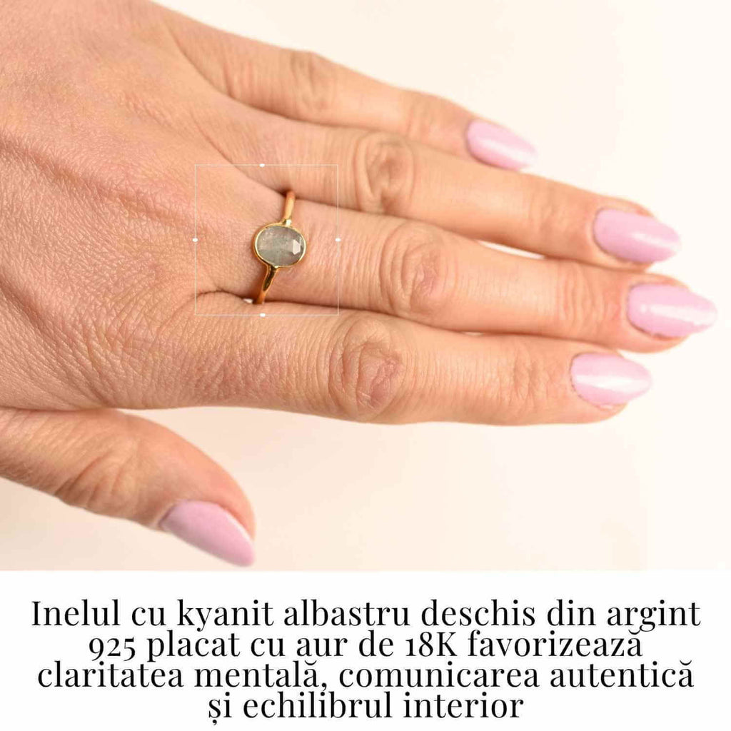 541668dde6dd3d5458c20c9af0555445