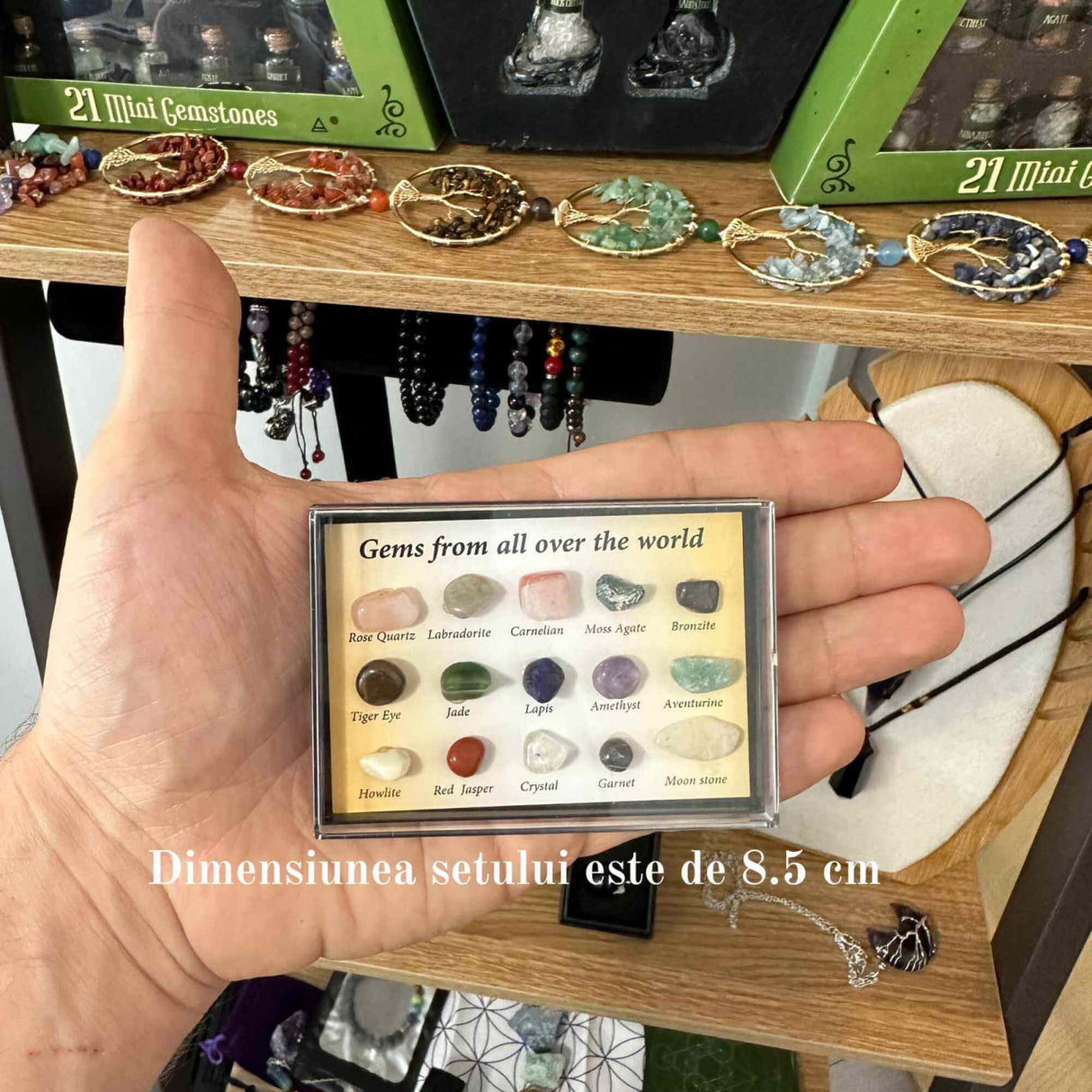 Mini set educational copii 15 pietre de colectie | Pietre specimen etichetate, educationale pentru baieti si fete