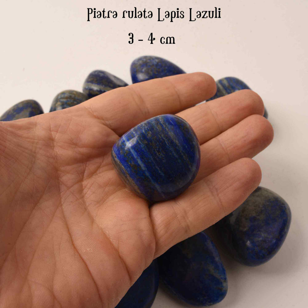 ZSC19-1062