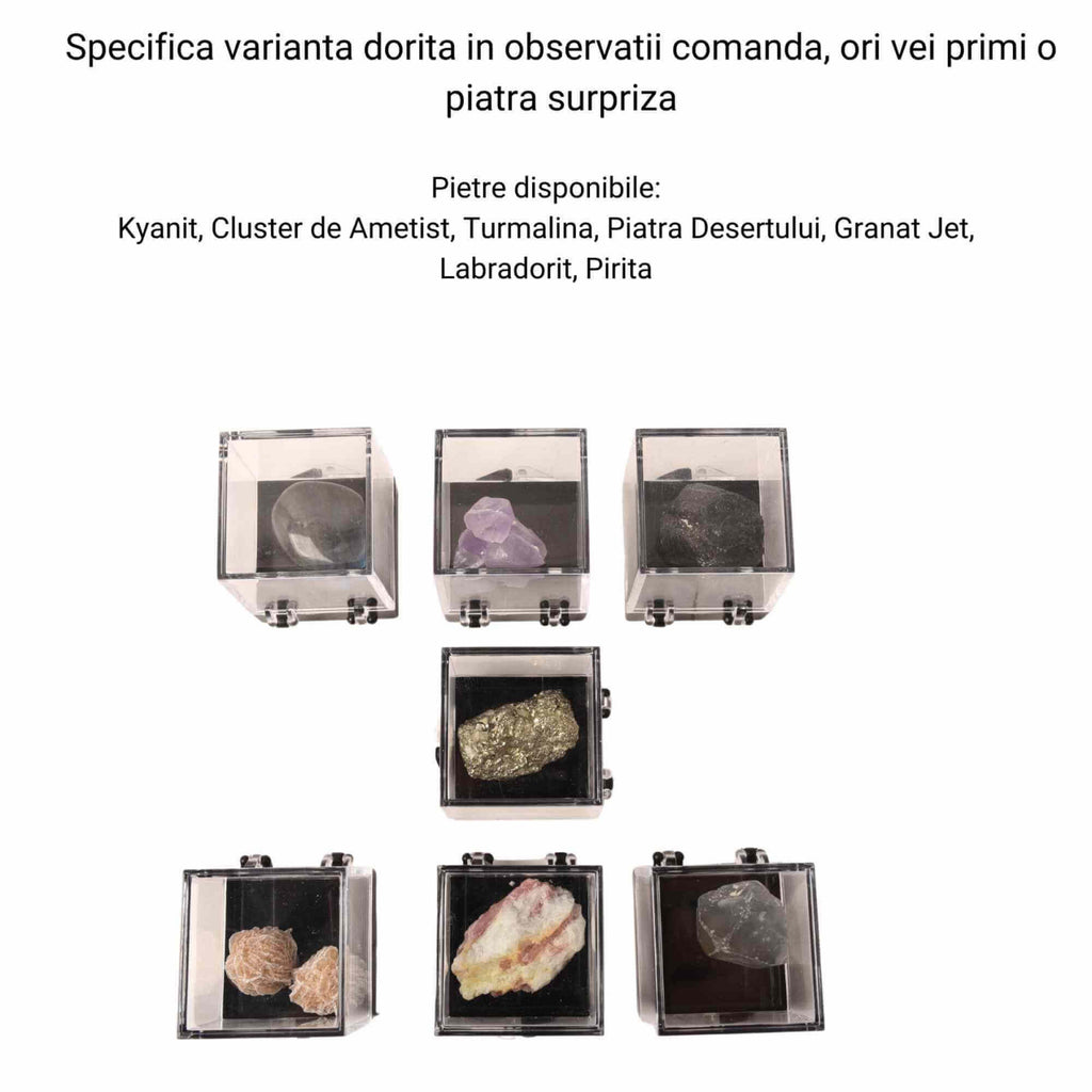 ZSC13-821