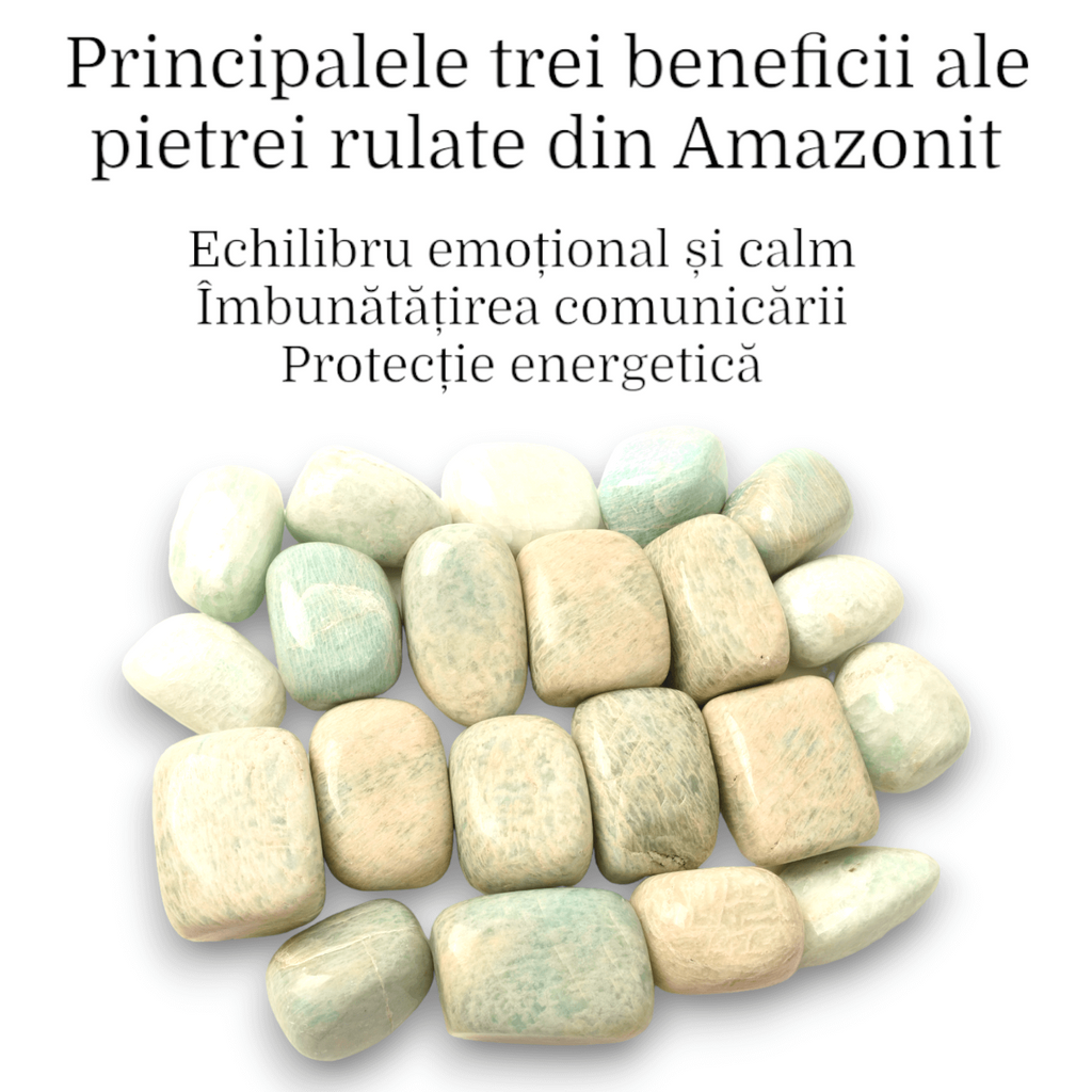 ZSC19-113-231