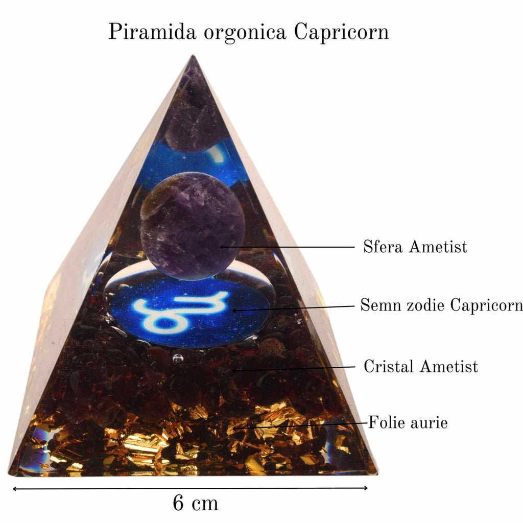 ZSC16-22-Capricorn1