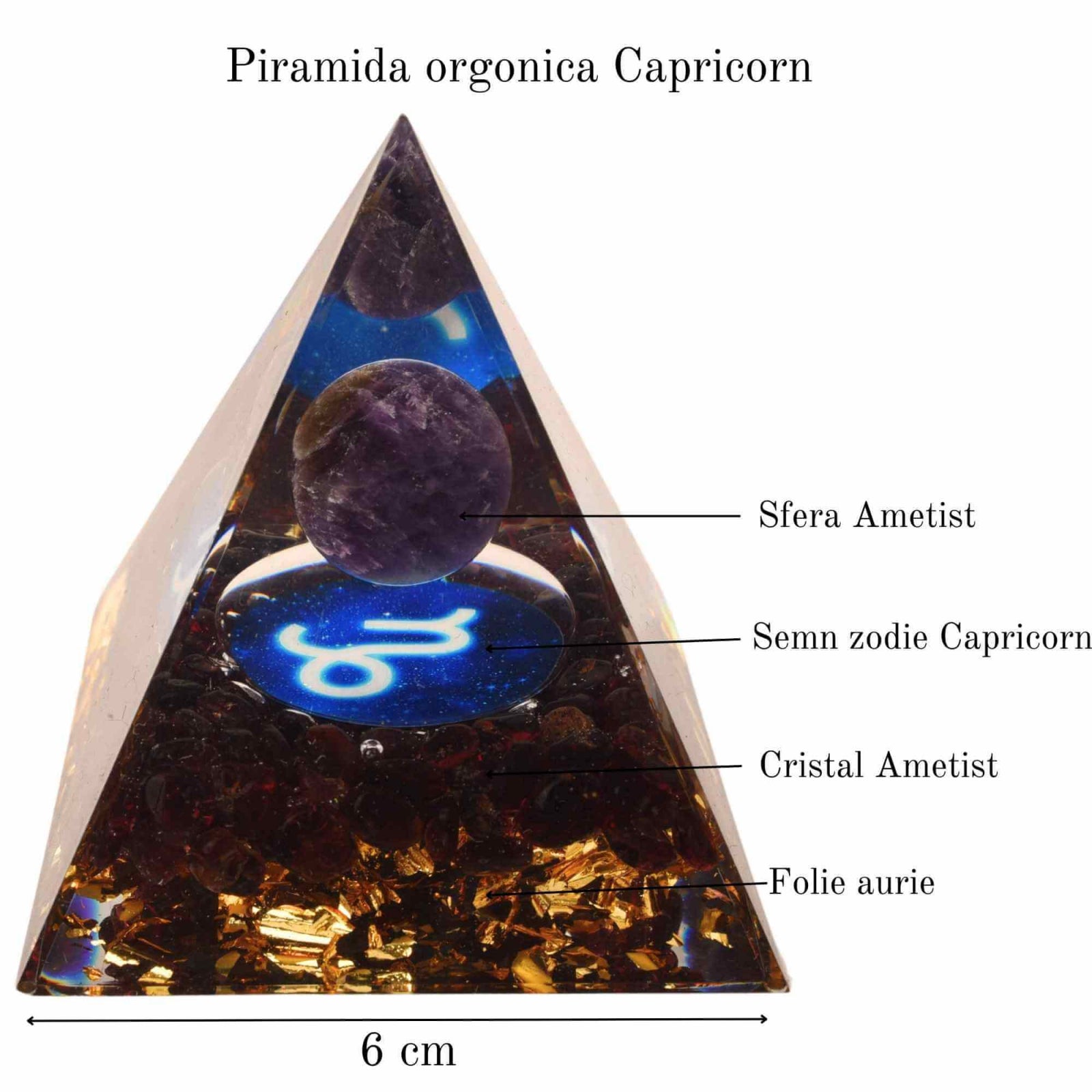ZSC16-22-Capricorn1