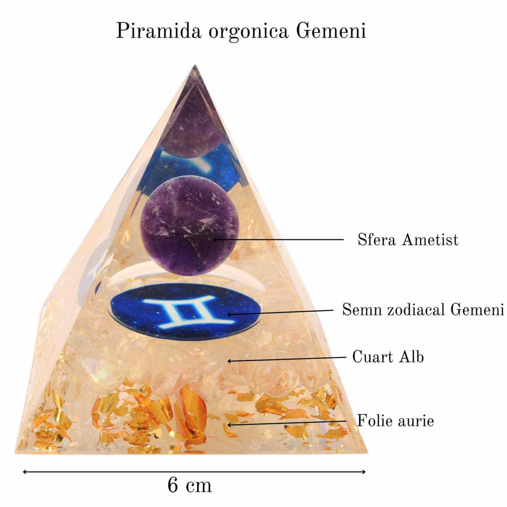 ZSC16-22-Gemeni1