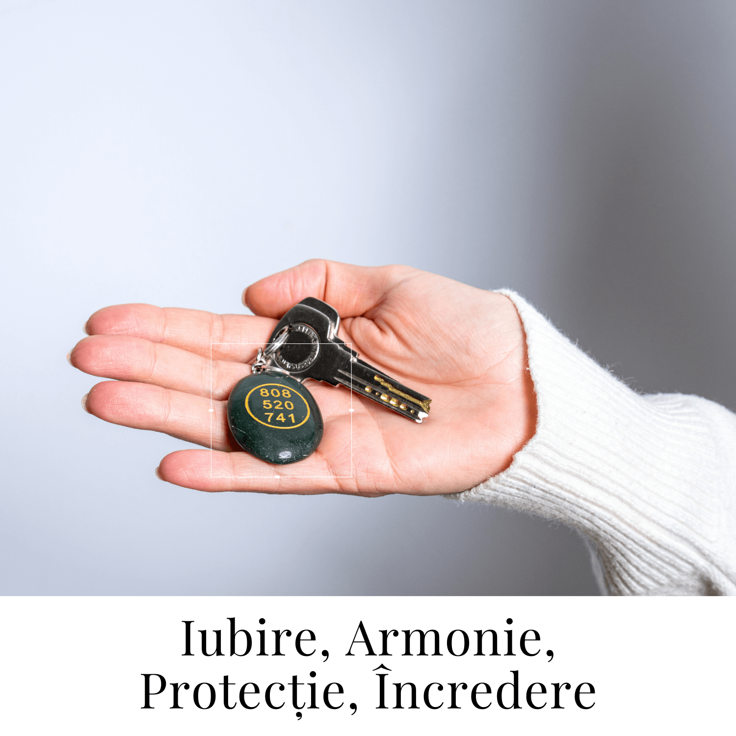 Breloc cu simbol Zibu si jad verde – Protectie si iubire universala la purtator