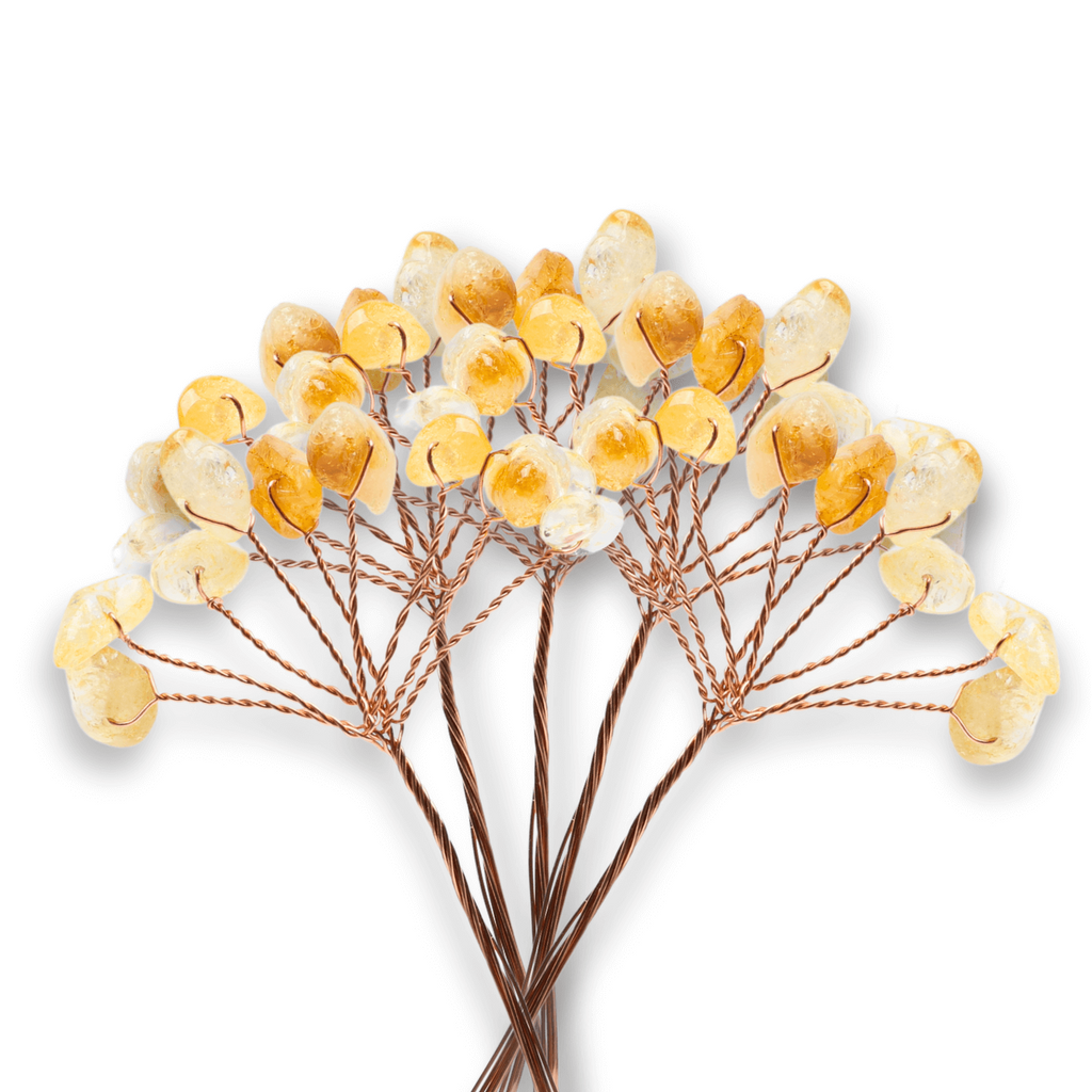 Ramurica DIY din Pietre Naturale Citrin (9 Pietricele)