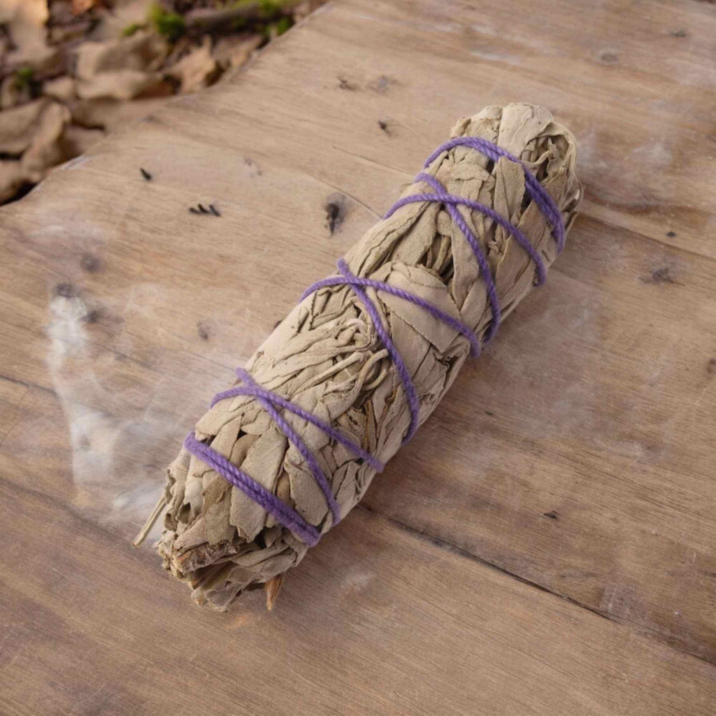 Buchet Salvie Alba California 10-12 cm