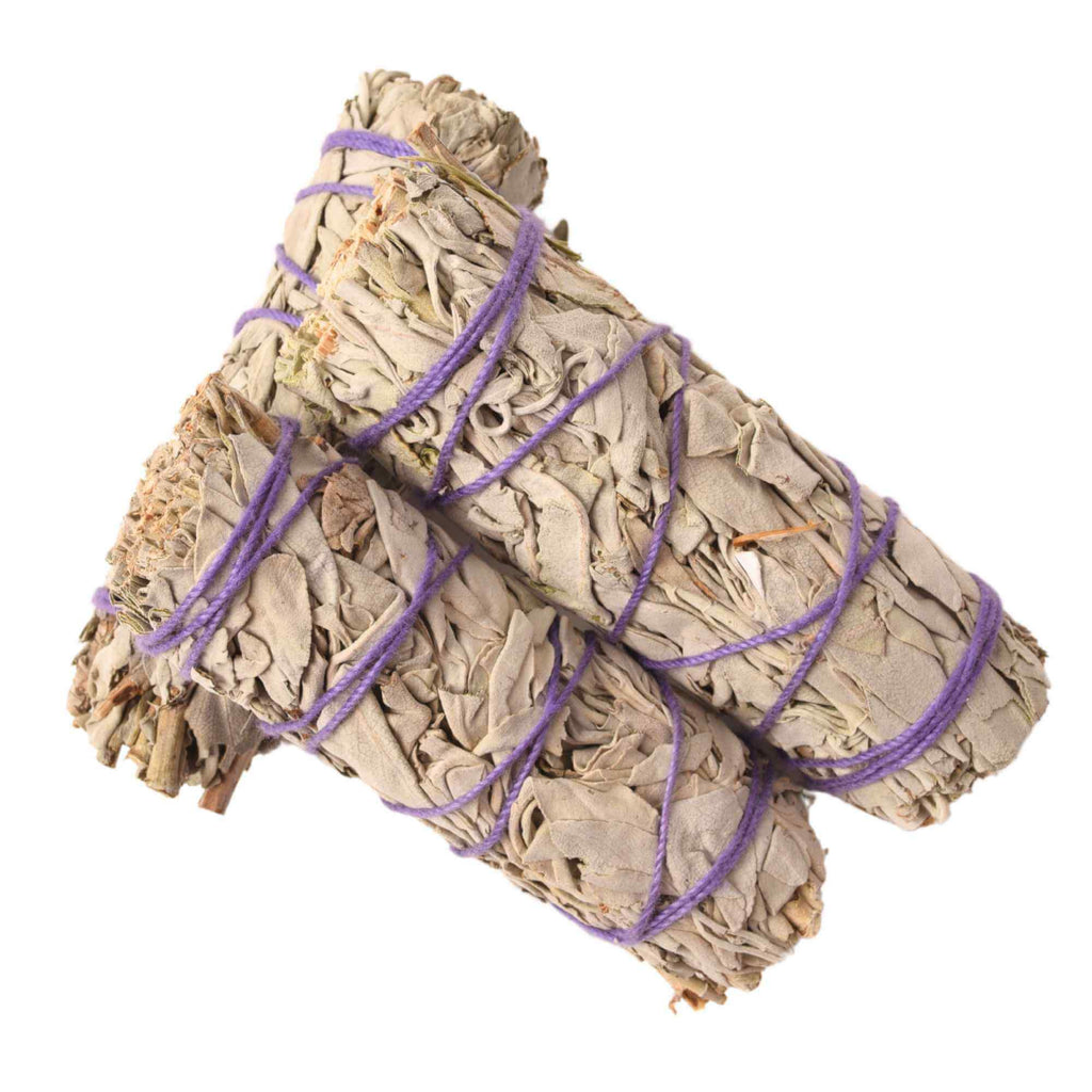 Buchet Salvie Alba California 10-12 cm