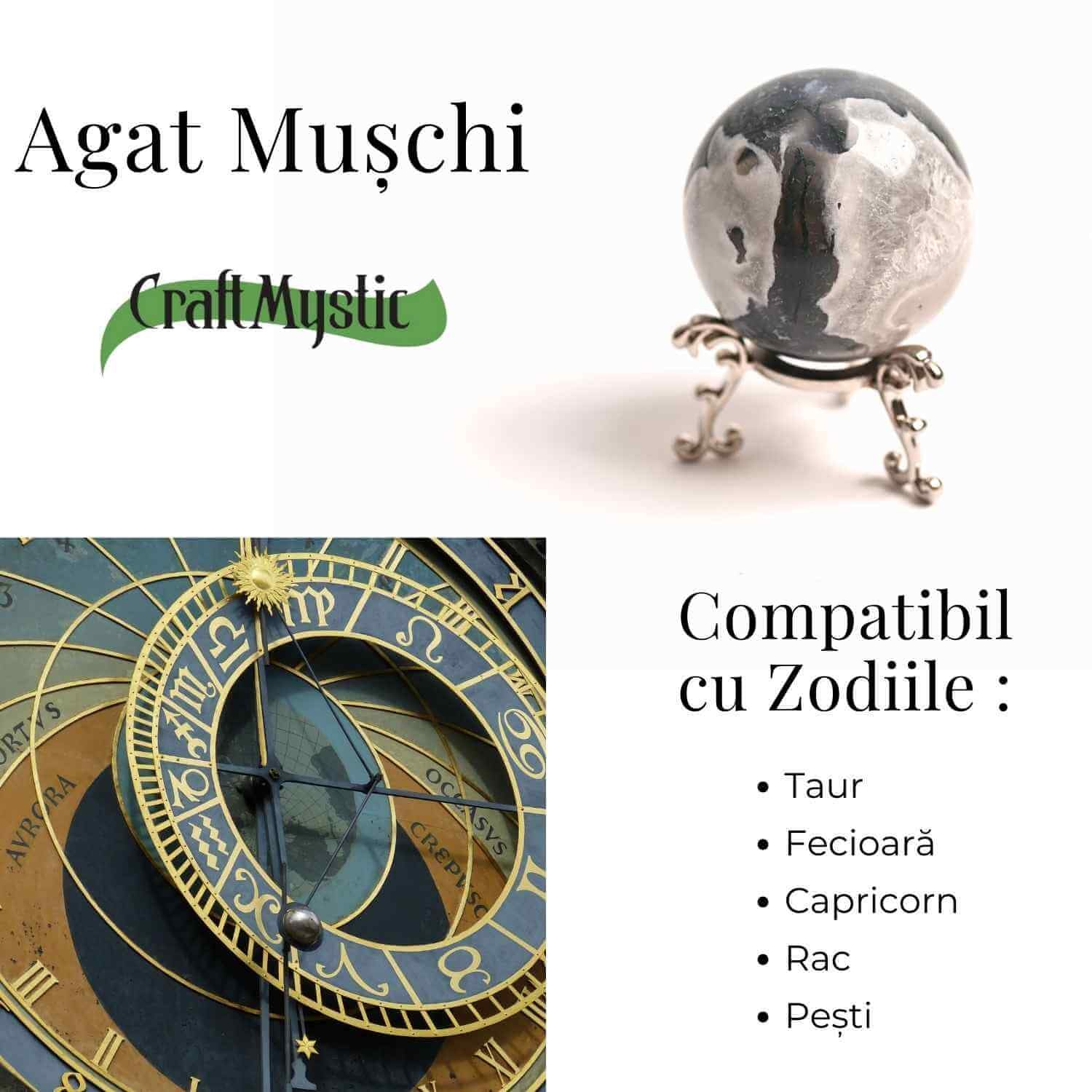Sfera Agat muschi (Moss Agate) 50-55 mm