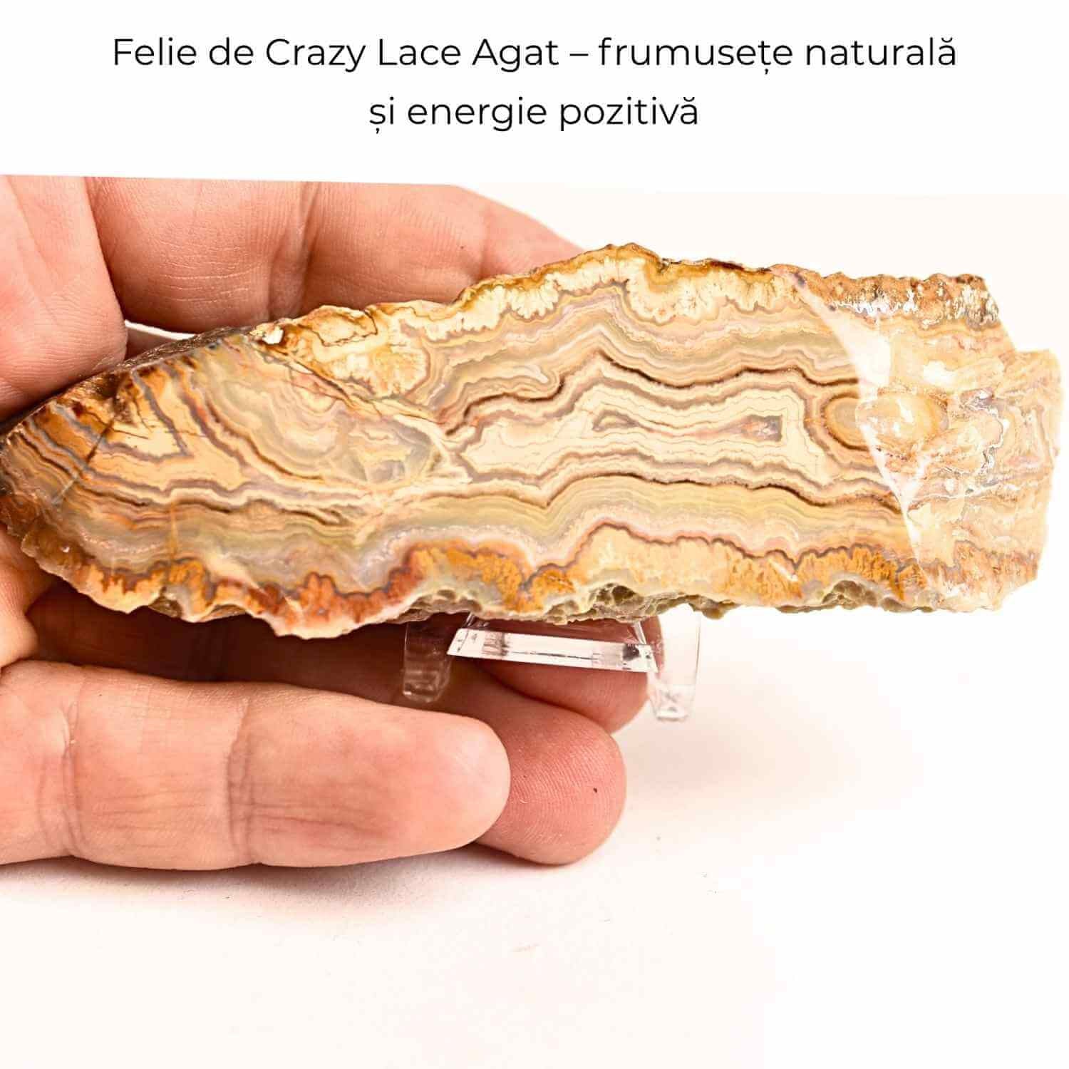 Felie 10-11 cm din Agat Crazy Lace – Sculptata manual, energie în forma pura
