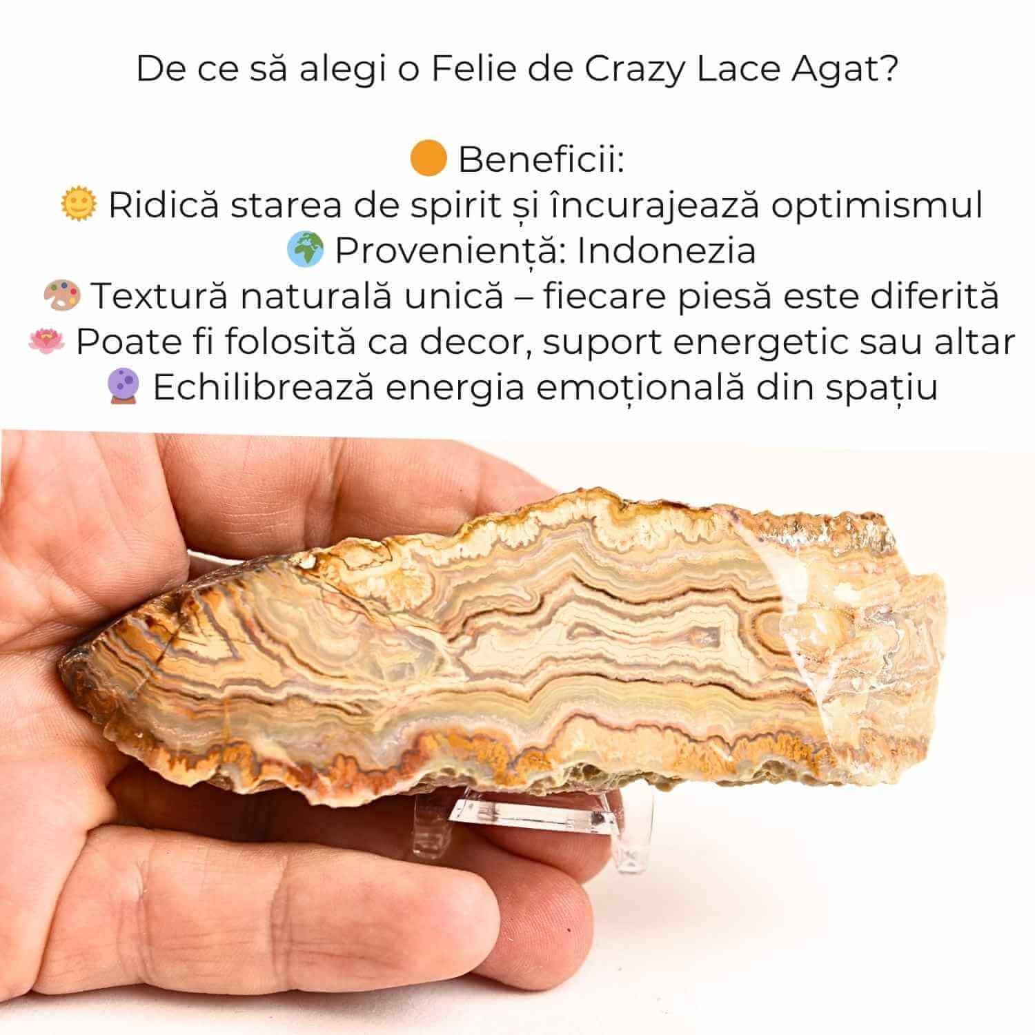 Felie 10-11 cm din Agat Crazy Lace – Sculptata manual, energie în forma pura