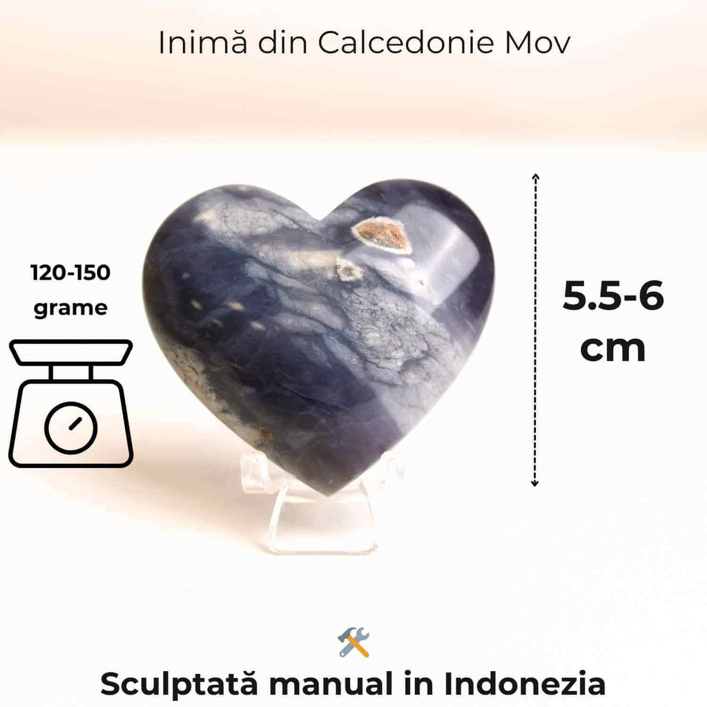 INI011